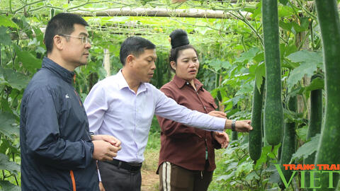 Thuận Châu: Xây dựng tổ chức Hội vững mạnh, đáp ứng yêu cầu công tác hội