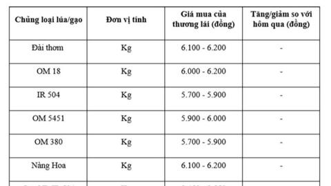 Giá lúa gạo hôm nay ngày 31/7: Gạo nguyên liệu xuất khẩu đảo chiều giảm