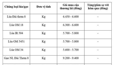 Giá lúa gạo hôm nay ngày 12/7, tuần qua: Lúa, gạo xuất khẩu biến động