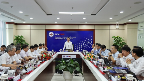 Chủ tịch Hội đồng thành viên EVNCPC làm việc với PC Quảng Ngãi