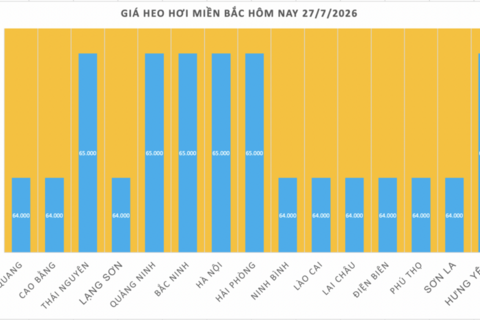 Giá heo hơi hôm nay 27/7/2026: Giảm 1.000 đồng/kg tại nhiều địa phương