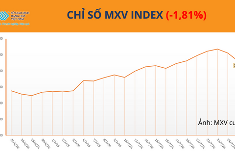 Giá dầu lao dốc hơn 8%, xuống mức thấp nhất hơn một tuần