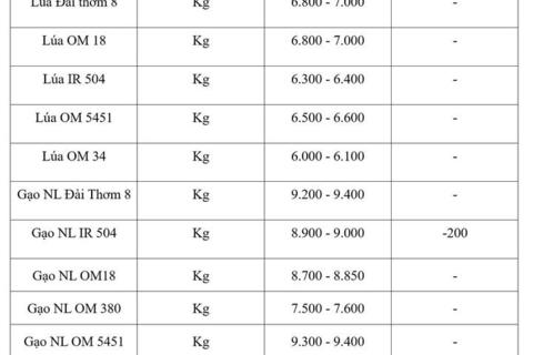 Giá lúa gạo hôm nay ngày 27/8/2026: Gạo xuất khẩu giảm