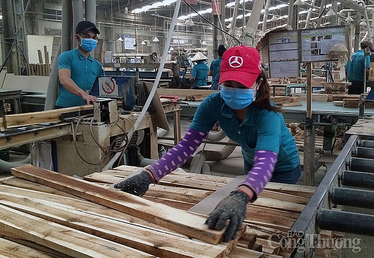 Xuất khẩu gỗ Xuất khẩu gỗ