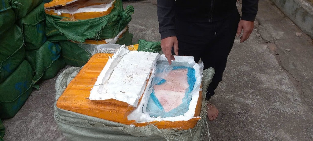 Đồn Biên phòng Trà Cổ thu giữ, tiêu hủy 880kg nầm lợn không nguồn gốc Đồn Biên phòng Trà Cổ thu giữ, tiêu hủy 880kg nầm lợn không nguồn gốc