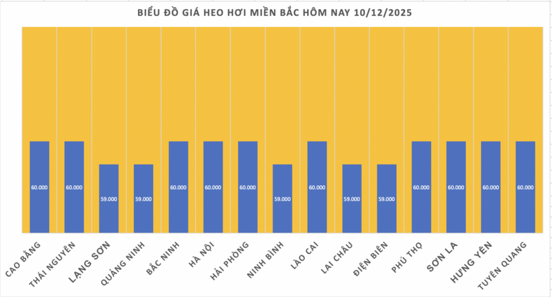 Giá heo hơi hôm nay 10/12/2025: Biến động trái chiều - 1