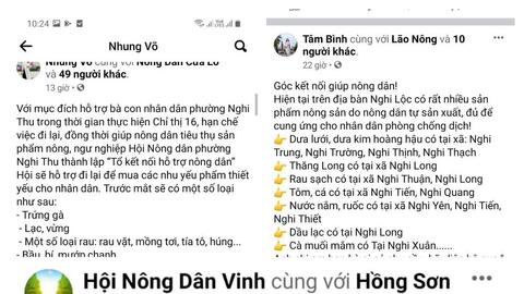 Cách làm hay giúp nông dân Nghệ An tiêu thụ nông sản trong mùa dịch