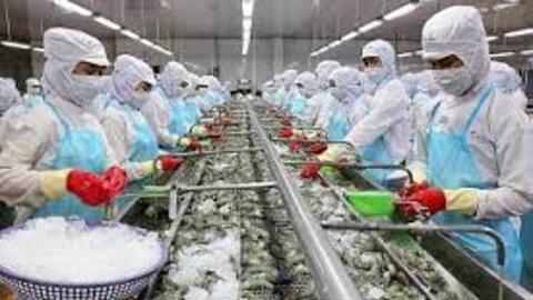 60% doanh nghiệp thủy sản chưa thể khôi phục ngay sau giãn cách xã hội