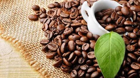 Xuất khẩu cà phê sang Hàn Quốc dự báo tăng trưởng trong thời gian tới