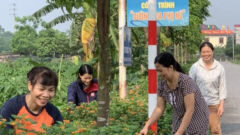 Hội LHPN Bắc Ninh trồng hoa trên bùn thải của làng nghề
