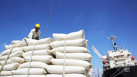 Xuất khẩu gạo của Việt Nam sang Senegal tăng gần 30 lần