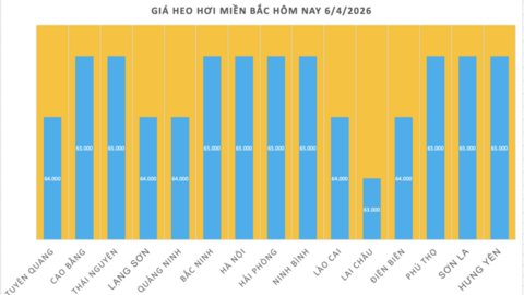 Giá heo hơi hôm nay 6/4/2026: Tăng nhẹ tại miền Bắc, miền Trung
