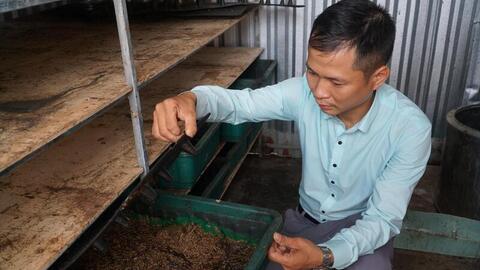 Đà Nẵng: Kinh tế tuần hoàn từ rác thải tại chợ