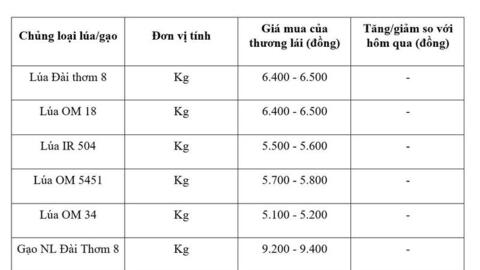 Giá lúa gạo hôm nay ngày 16/6/2026: Gạo xuất khẩu đảo chiều tăng