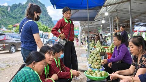 Lạng Sơn mở rộng đầu ra cho nông sản vùng đồng bào dân tộc thiểu số