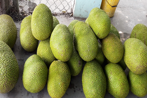 Giá nông sản hôm nay, ngày 12/6: Mít Thái đang ở mức thấp