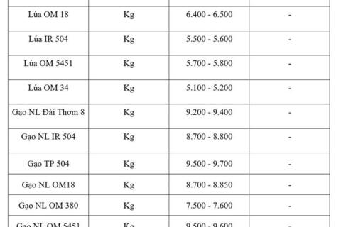 Giá lúa gạo hôm nay ngày 12/6/2026: Tấm thơm giảm nhẹ