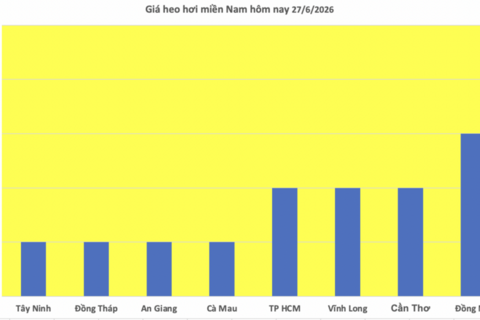 Giá heo hơi hôm nay 27/6/2026: Đồng loạt giảm tại miền Bắc