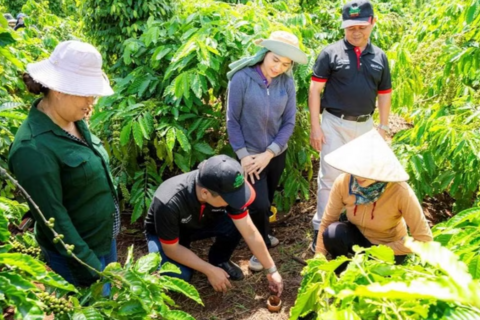 Nông nghiệp tái sinh giúp cà phê Việt vượt “rào cản xanh”