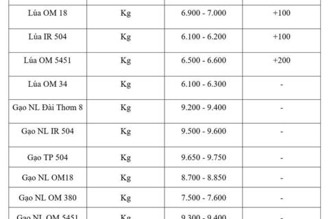 Giá lúa gạo hôm nay ngày 5/8/2026: Lúa tươi đồng loạt tăng nhẹ