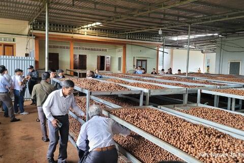 Đắk Lắk: Thúc đẩy khuyến công, nâng tầm chế biến sâu nông sản