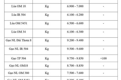 Giá lúa gạo hôm nay ngày 6/8/2026: Gạo xuất khẩu biến động trái chiều