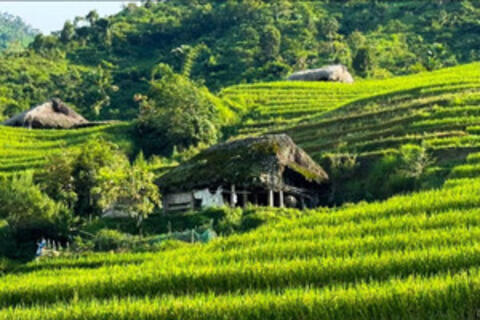 Điểm tựa để đồng bào vùng biên vươn lên thoát nghèo