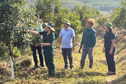 Tạo động lực bứt phá từ phát triển nông nghiệp hàng hóa của xã Chiềng Sinh