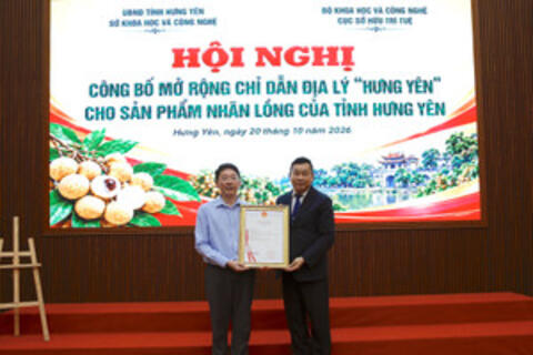 Mở rộng chỉ dẫn địa lý cho nhãn lồng Hưng Yên