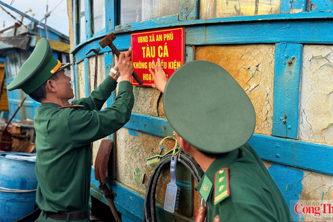 Quảng Ngãi: Hỗ trợ ngư dân giải bản tàu cá, gỡ khó chống khai thác IUU
