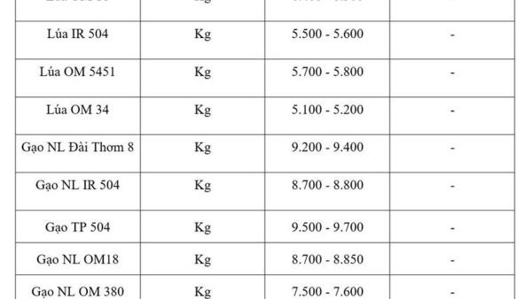 Giá lúa gạo hôm nay ngày 11/6/2026: Gạo nguyên liệu xuất khẩu giảm
