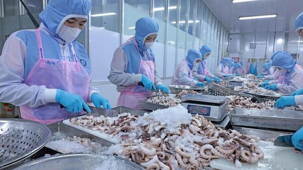 Ngăn chặn gian lận xuất xứ để bảo vệ lợi ích hàng Việt tại thị trường EU