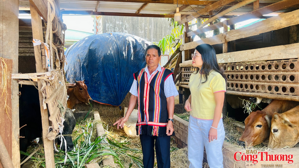 Gia Lai phát huy vai trò người uy tín trong đồng bào dân tộc thiểu số