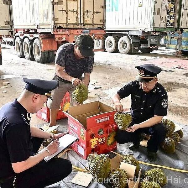Kịp thời hỗ trợ, tạo thuận lợi cho hàng nông sản xuất khẩu