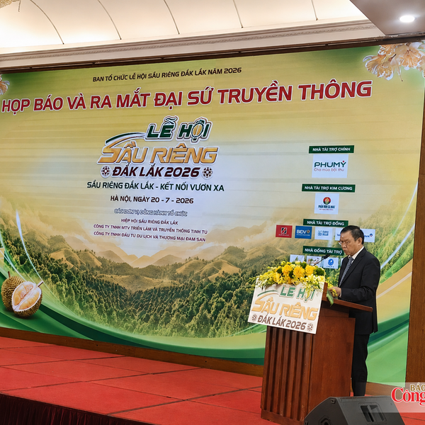  Lễ hội Sầu riêng Đắk Lắk năm 2026: Kết nối vươn xa