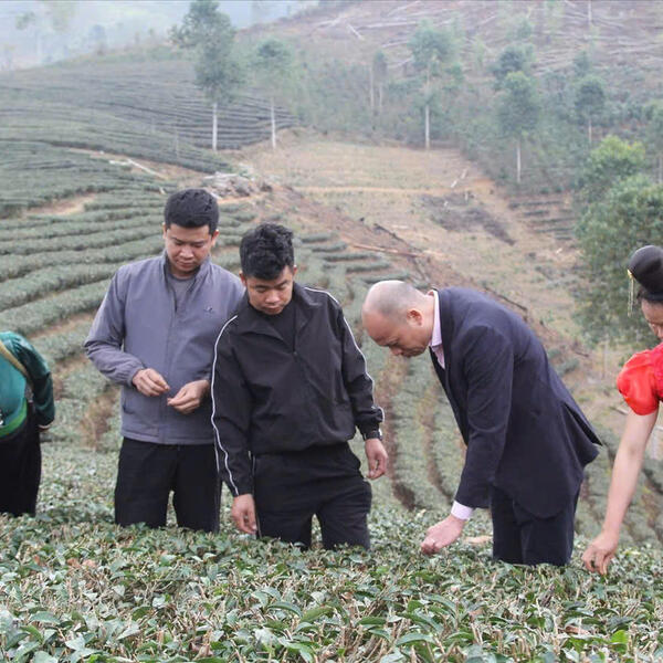 Tín dụng chính sách - 'điểm tựa vững chắc' giúp đồng bào Sơn La thoát nghèo