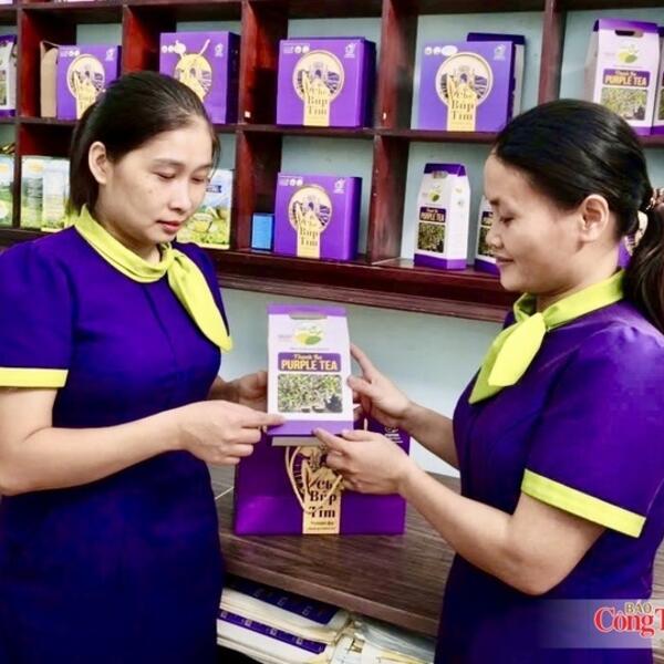 Liên kết chuỗi, xây dựng thương hiệu nâng tầm giá trị chè đất Tổ