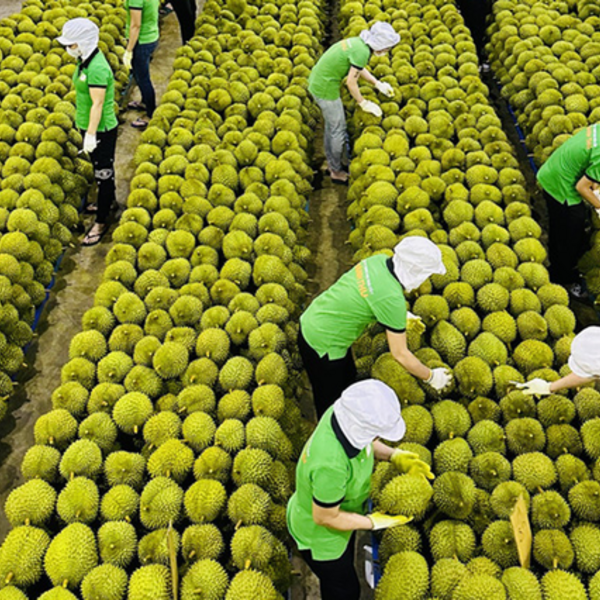 Nâng cao giá trị kinh tế nông sản Việt