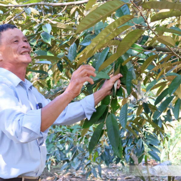 Đà Nẵng: Đảng viên tiên phong đưa Chương trình mục tiêu quốc gia vào thực tiễn
