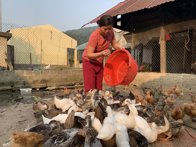 Hội nông dân huyện biên giới Mường Tè chung sức xây dựng NTM - Ảnh 5. Hội nông dân huyện biên giới Mường Tè chung sức xây dựng NTM - Ảnh 5.
