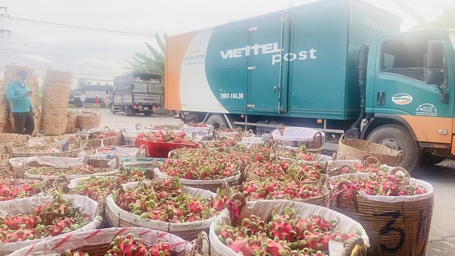 Đưa nông sản vào các chuyến xe bán hàng lưu động Đưa nông sản vào các chuyến xe bán hàng lưu động