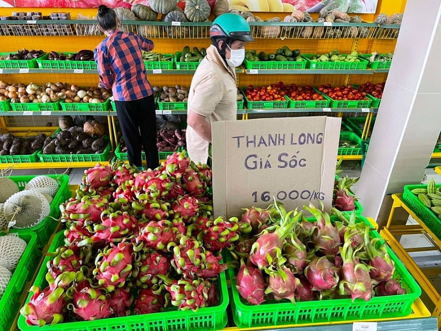 Bách Hóa Xanh đang bán thanh long với giá 16,000 đồng/kg Bách Hóa Xanh đang bán thanh long với giá 16,000 đồng/kg