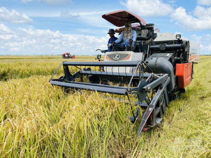 Bình ổn giá phân bón: Nên chăng giải quyết căn cơ vấn đề đầu ra nông sản? - Ảnh 3. Bình ổn giá phân bón: Nên chăng giải quyết căn cơ vấn đề đầu ra nông sản? - Ảnh 3.