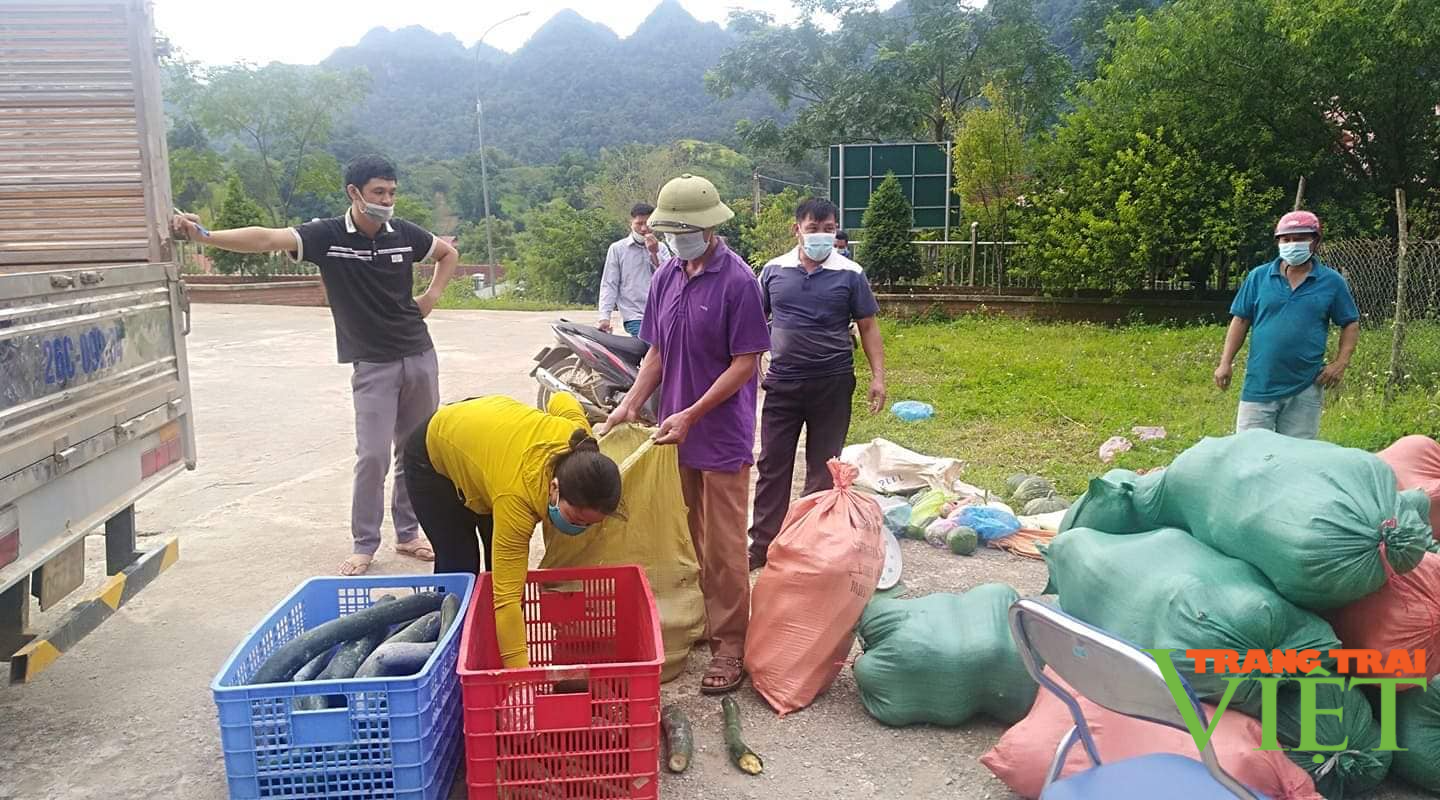 Yên Châu: Hỗ trợ nông sản trị giá gần 300 triệu đồng cho người dân Phù Yên những ngày giãn cách xã hội - Ảnh 2. Yên Châu: Hỗ trợ nông sản trị giá gần 300 triệu đồng cho người dân Phù Yên những ngày giãn cách xã hội - Ảnh 2.