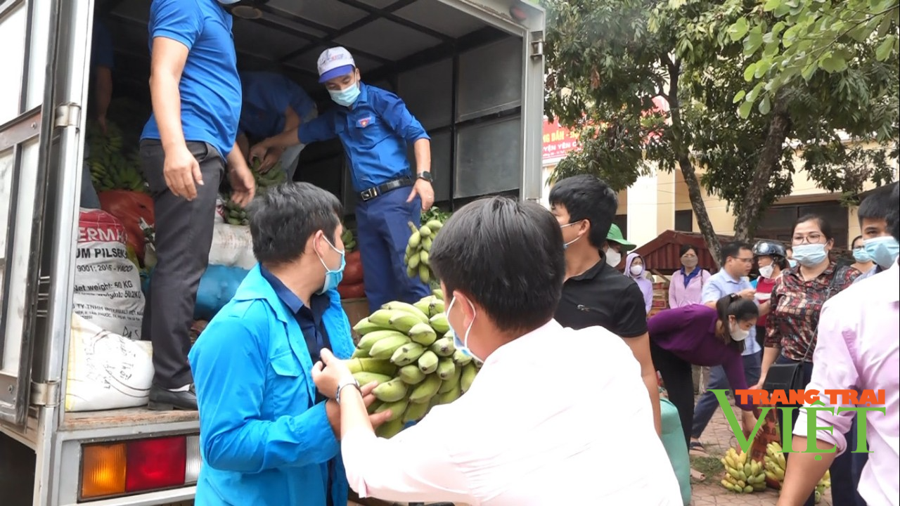 Yên Châu: Hỗ trợ nông sản trị giá gần 300 triệu đồng cho người dân Phù Yên những ngày giãn cách xã hội - Ảnh 1. Yên Châu: Hỗ trợ nông sản trị giá gần 300 triệu đồng cho người dân Phù Yên những ngày giãn cách xã hội - Ảnh 1.