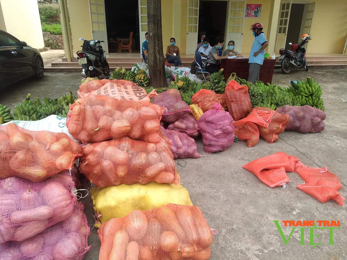 Yên Châu: Hỗ trợ nông sản trị giá gần 300 triệu đồng cho người dân Phù Yên những ngày giãn cách xã hội - Ảnh 6. Yên Châu: Hỗ trợ nông sản trị giá gần 300 triệu đồng cho người dân Phù Yên những ngày giãn cách xã hội - Ảnh 6.