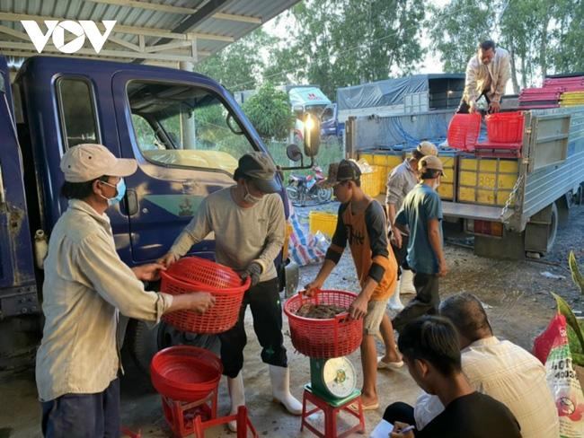 Tổ chức lại sản xuất, tiêu thụ nông sản bài bản hơn - Ảnh 1. Tổ chức lại sản xuất, tiêu thụ nông sản bài bản hơn - Ảnh 1.