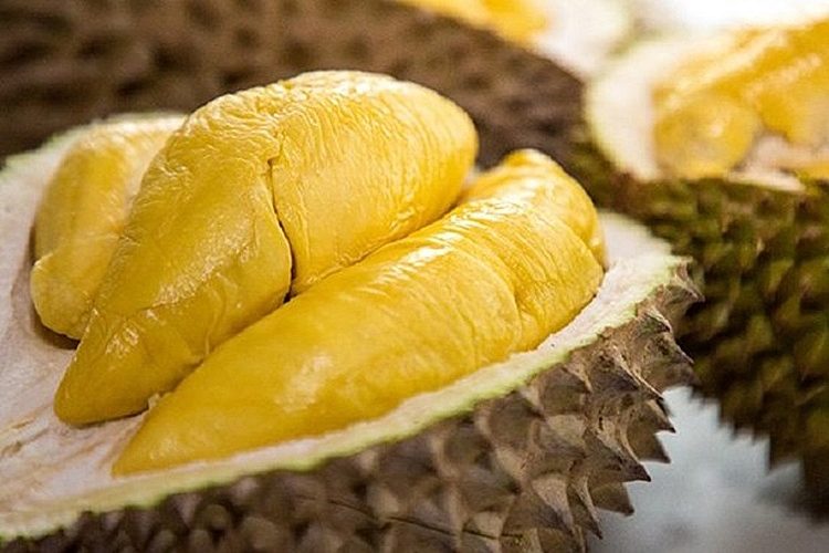 Sầu riêng Ri6 của Việt Nam 'phủ sóng' thị trường Australia Sầu riêng Ri6 của Việt Nam 'phủ sóng' thị trường Australia