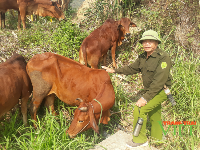 Nậm Nhùn phát triển chăn nuôi đại gia súc theo hướng bền vững - Ảnh 1. Nậm Nhùn phát triển chăn nuôi đại gia súc theo hướng bền vững - Ảnh 1.