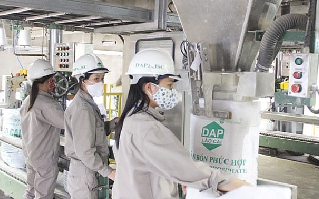 Hầu hết các đơn vị trong tập đoàn đều có kết quả sản xuất kinh doanh tốt; đặc biệt các đơn vị sản xuất, kinh doanh phân bón có nhiều khởi sắc. Hầu hết các đơn vị trong tập đoàn đều có kết quả sản xuất kinh doanh tốt; đặc biệt các đơn vị sản xuất, kinh doanh phân bón có nhiều khởi sắc.